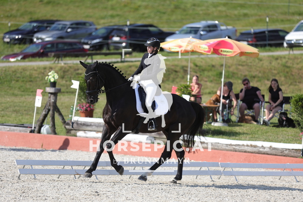 0P6A8561 | Willkommen bei Brunnmayr - Design & Fotografie – Ihrem Spezialisten für Reitturniere und Pferdeveranstaltungen in Oberösterreich, Salzburg und Bayern! Seit über 17 Jahren sind wir leidenschaftlich dabei.