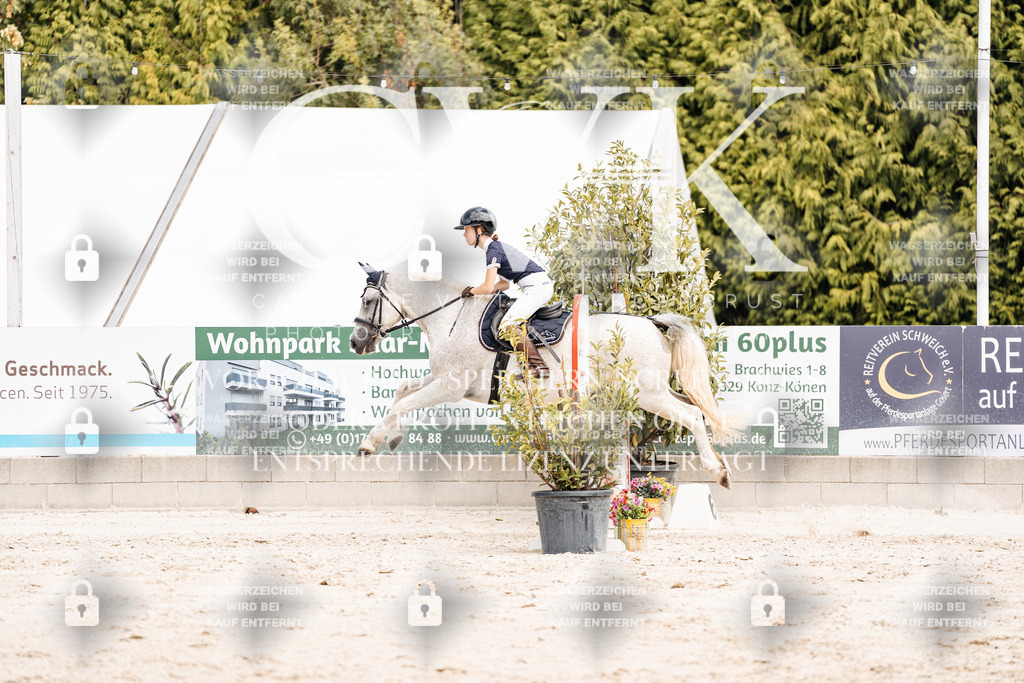 CK906809 | Turnierfotografie Pferdefotografie Trier Rheinland-Pfalz Pferdesport Reitsport Tierfotografie Sportfotografie Pferdevideo Pferdevideografie Equestrianvideography equestrianphotography  - Realisiert mit Pictrs.com