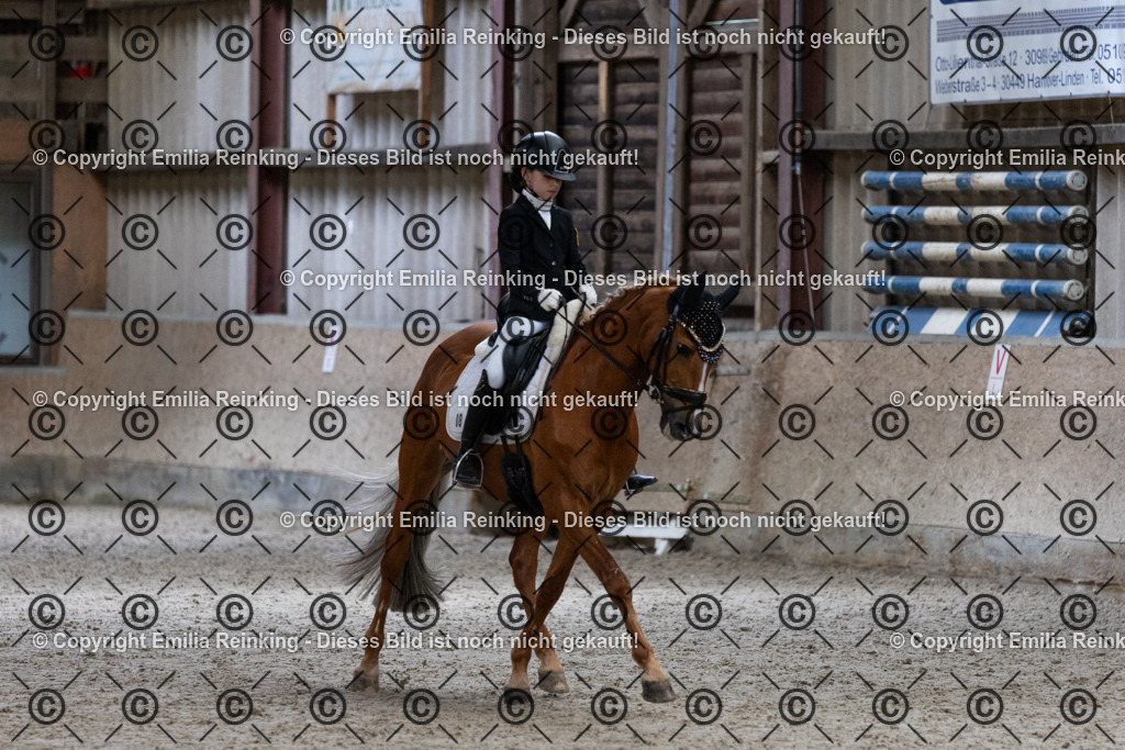 CL5A5404 | Emilia Reinking Fotografie - Realisiert mit Pictrs.com