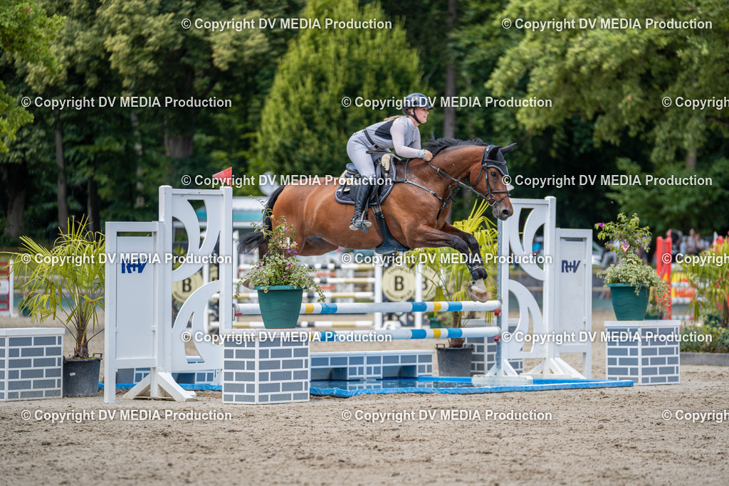 Hessische Tag 3-427 | dv-media-shop - Realisiert mit Pictrs.com