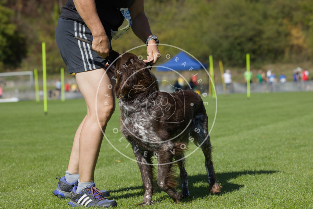 0L8A6547 | Hundefotografie, Tierfotograf, Pfotenfotografie, Fotoshooting Hund, Hunde Portrait, Hundesport, Hundeportraits, Heideshooting, Hunde, Sportfotograf, Hundefotograf, Turnierhundsport, THS,  - Realisiert mit Pictrs.com