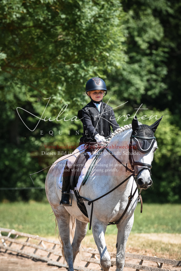 DSC_3082 | Pferde- und Turnierfotografie in Westsachsen. Pferdeportraits, Auftragszeichnungen und intuitive Kunst.