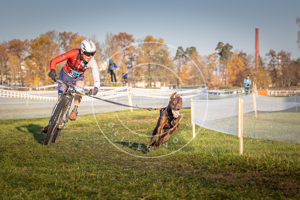 CaniXpix_0L8A3820 | Hundefotografie, Tierfotograf, Pfotenfotografie, Fotoshooting Hund, Hunde Portrait, Hundesport, Hundeportraits, Heideshooting, Hunde, Sportfotograf, Hundefotograf, Turnierhundsport, THS,  - Realisiert mit Pictrs.com