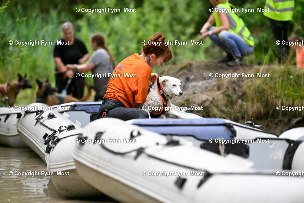 DSC_4939 | Hallo und herzlich Willkommen auf meiner Shop-Seite Fynn Most.

Ich wünsche Dir viel Spaß beim stöbern durch die Bilder, wenn Du Fragen hast oder Bilder vermisst, kannst du mir gerne eine Nachricht schreiben. - Realisiert mit Pictrs.com