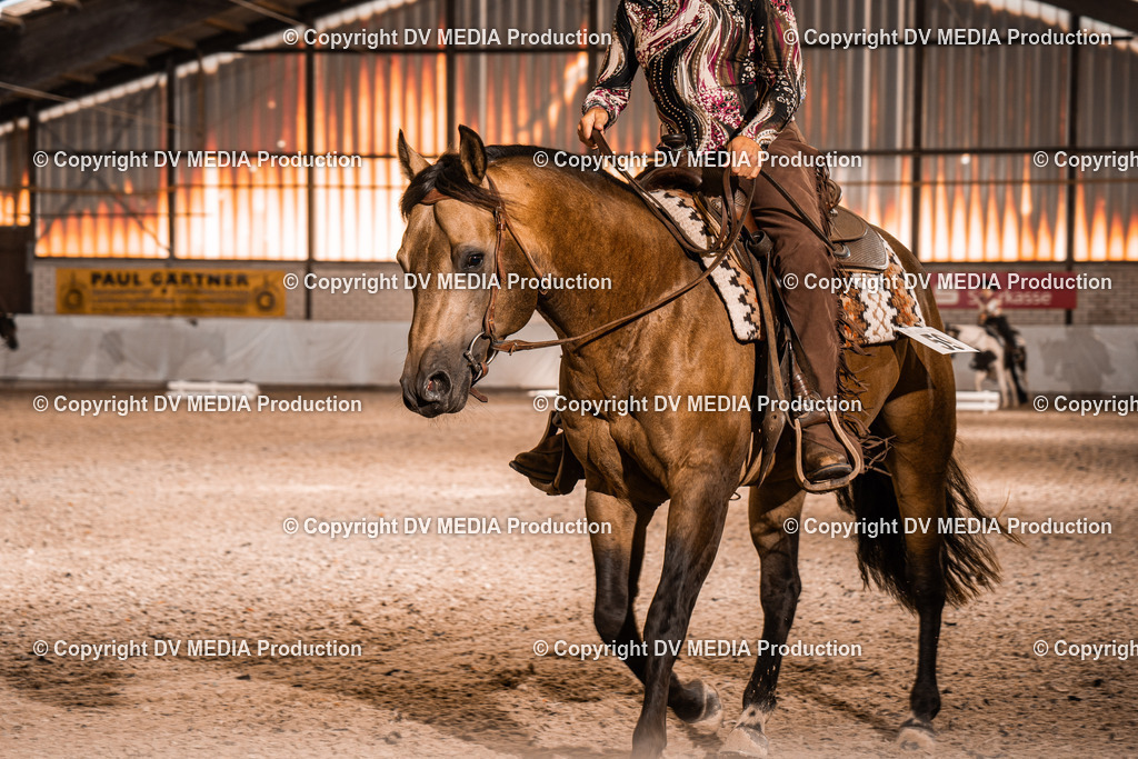 ZH100300 | dv-media-shop - Realisiert mit Pictrs.com