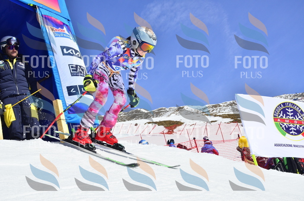 _ELE0417 | holidayphoto