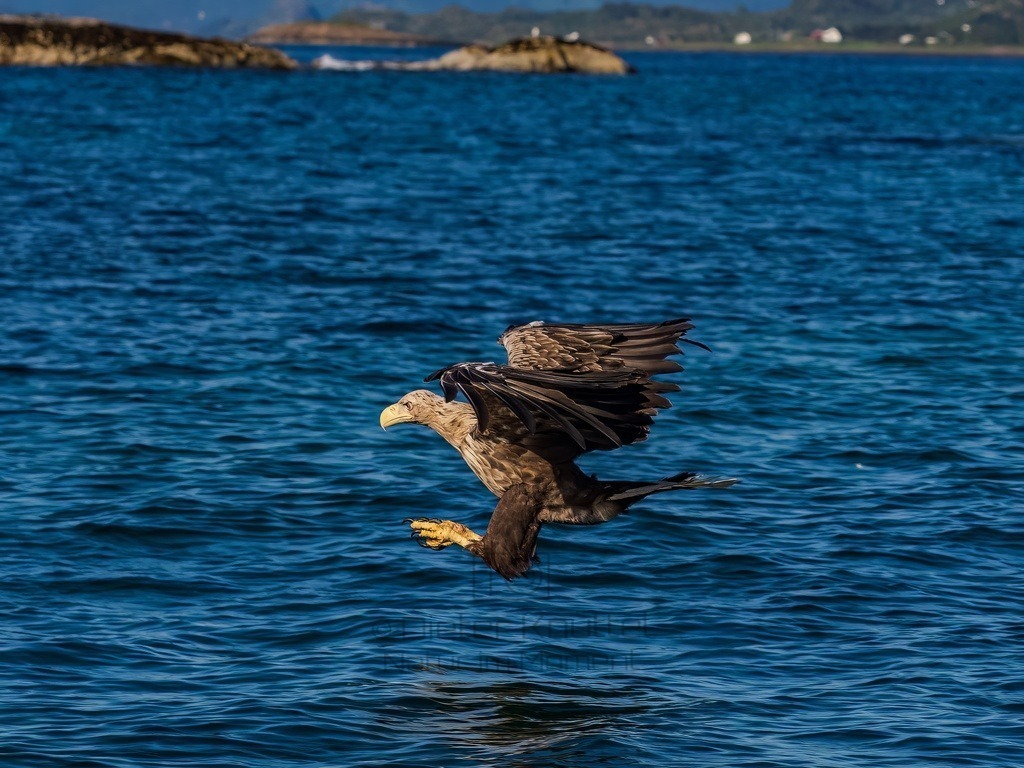 P1001616-LR-topaz-denoise-enhance | Natur im Moment - Realisiert mit Pictrs.com