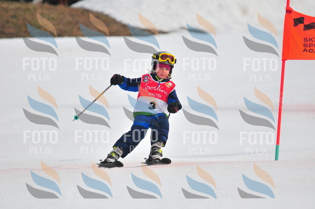 C0723 | holidayphoto