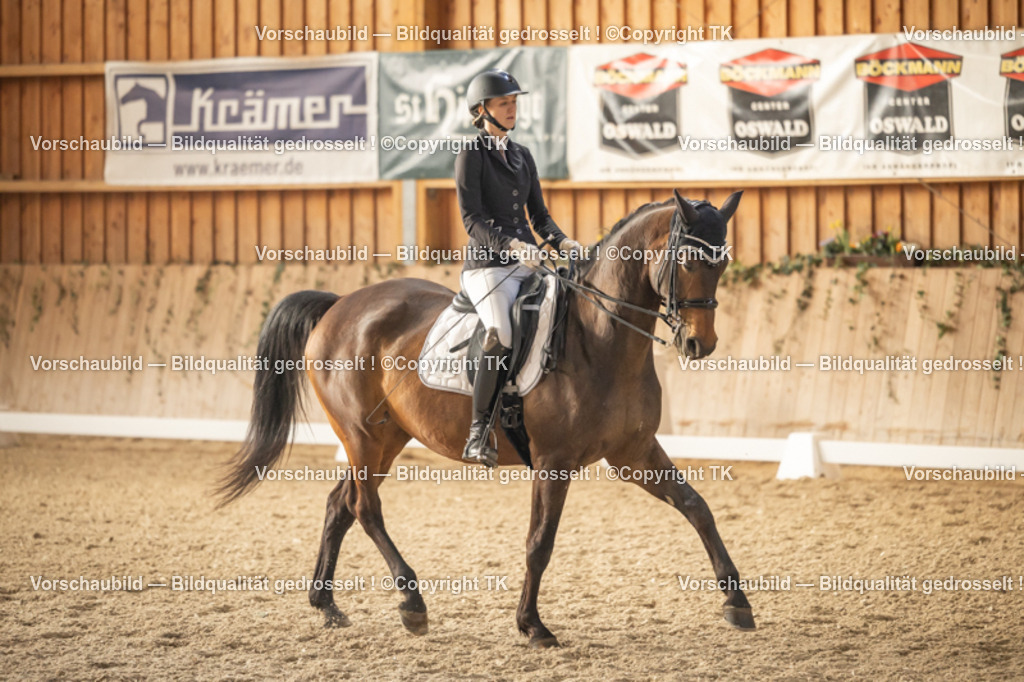 _D5A3382 | Emotionale Pferde- & People-Fotografie rund um Heidelberg, Leimen & Umgebung. Natürliche Fotos von Pferd, Mensch & Familie. Jetzt Termin sichern!