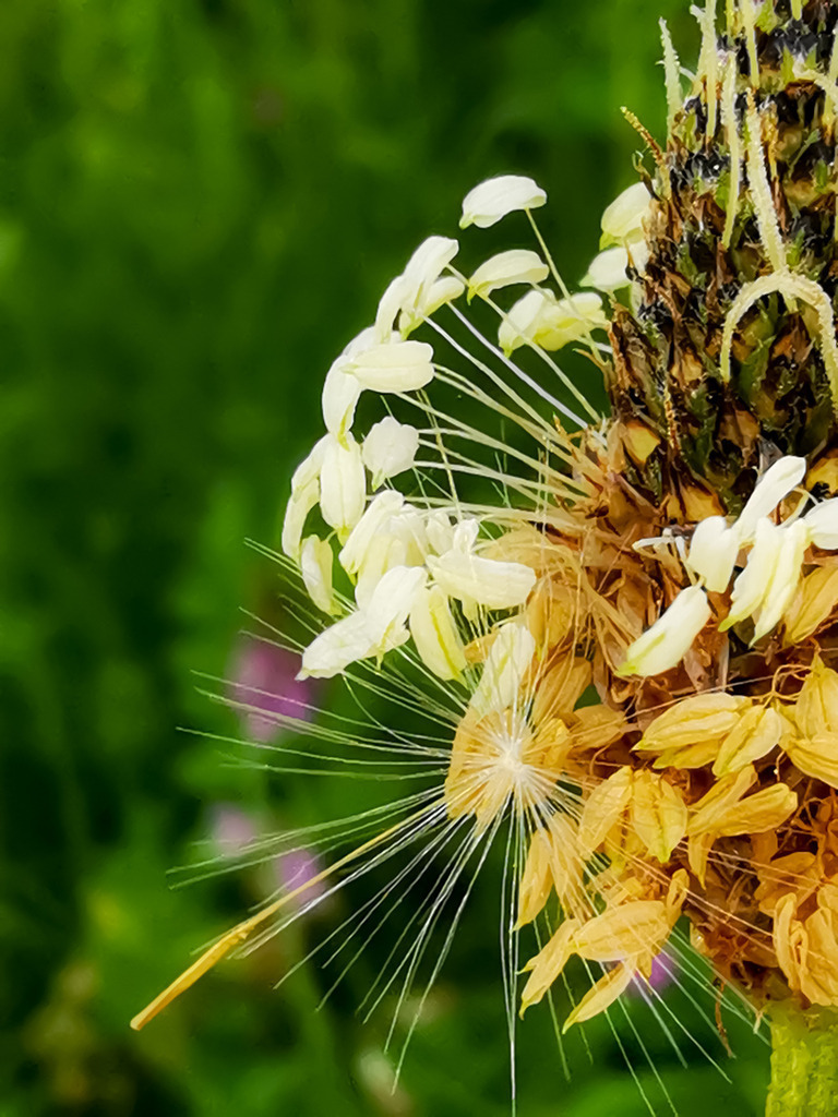 PSX_20230530_222734 | mtkfoto_ - Realisiert mit Pictrs.com