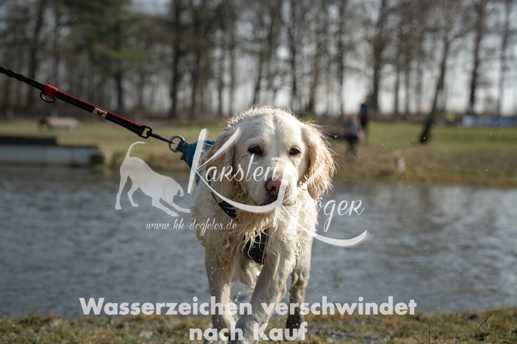 1259_ZZ93548 | kk-dogfotos