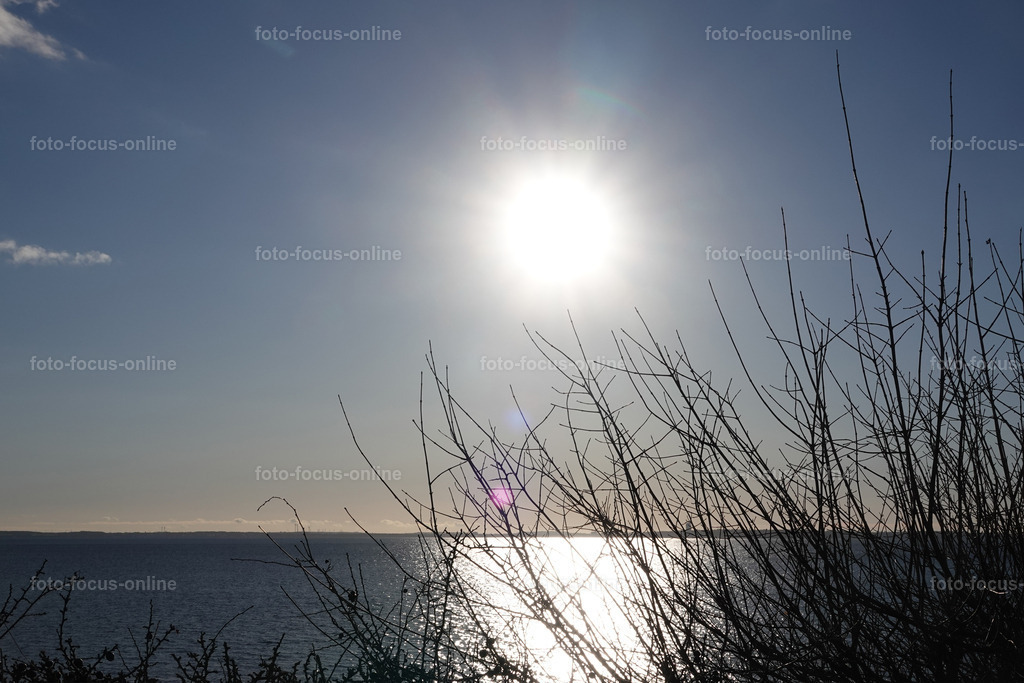 sunny afternoon | foto-focus-online