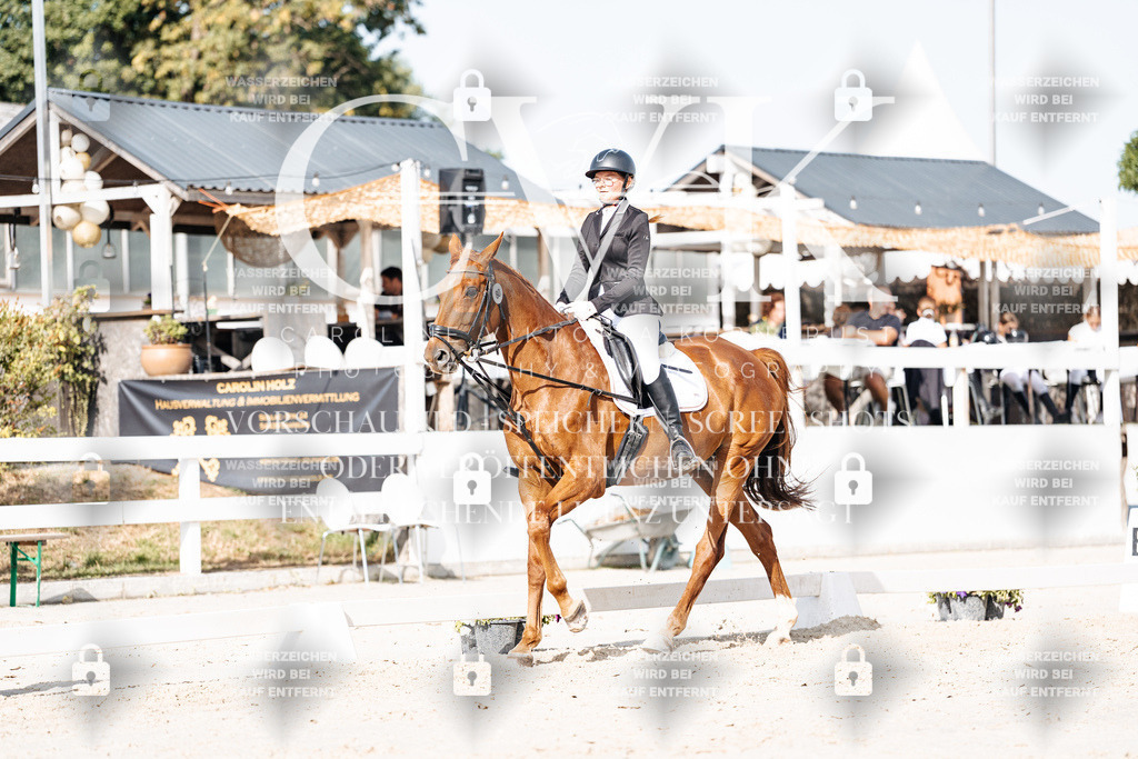 CK905513 | Turnierfotografie Pferdefotografie Trier Rheinland-Pfalz Pferdesport Reitsport Tierfotografie Sportfotografie Pferdevideo Pferdevideografie Equestrianvideography equestrianphotography  - Realisiert mit Pictrs.com