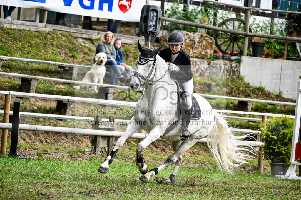 Bissendorfer Reitertage | Entdecke hochwertige Reitturnierfotos von Foto Oger. Professionell, emotional und authentisch – jetzt Lieblingsmomente im Shop bestellen. - Realisiert mit Pictrs.com