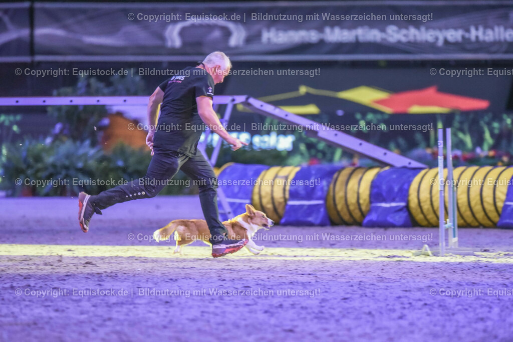 20231115_Dog-Agility_0080_TOMsPiC | Foto: Thomas Hartig