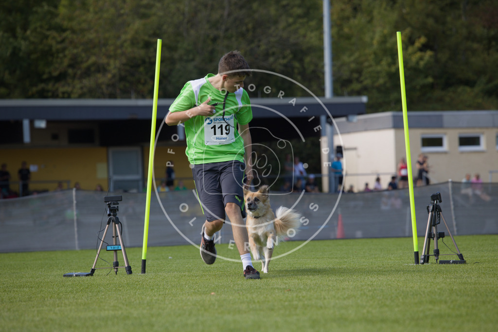 0L8A2776 | Hundefotografie, Tierfotograf, Pfotenfotografie, Fotoshooting Hund, Hunde Portrait, Hundesport, Hundeportraits, Heideshooting, Hunde, Sportfotograf, Hundefotograf, Turnierhundsport, THS,  - Realisiert mit Pictrs.com