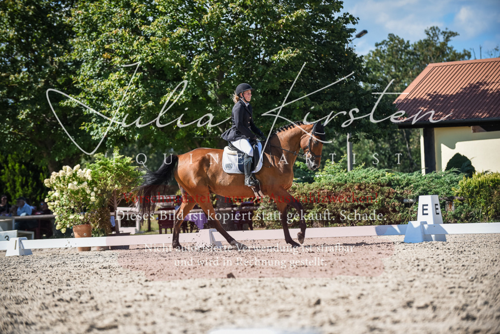 DSC_9680 | Pferde- und Turnierfotografie in Westsachsen. Pferdeportraits, Auftragszeichnungen und intuitive Kunst.