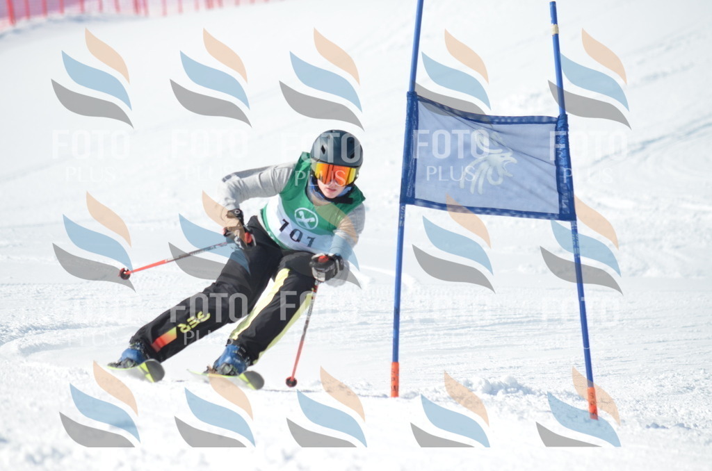 D9129 | holidayphoto