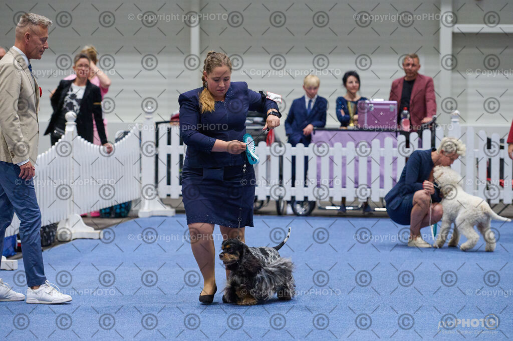 202406_ÖKV-IHA-Tulln24_DSC_3176 | proPHOTO - Realisiert mit Pictrs.com