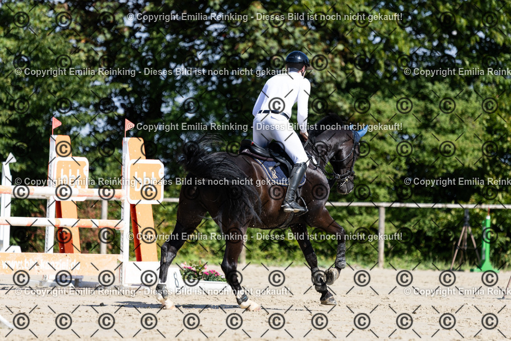 CL5A1182 | Emilia Reinking Fotografie - Realisiert mit Pictrs.com