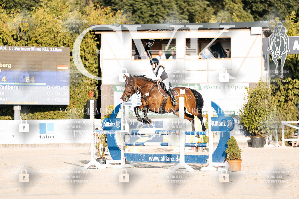 CK900724 | Turnierfotografie Pferdefotografie Trier Rheinland-Pfalz Pferdesport Reitsport Tierfotografie Sportfotografie Pferdevideo Pferdevideografie Equestrianvideography equestrianphotography  - Realisiert mit Pictrs.com