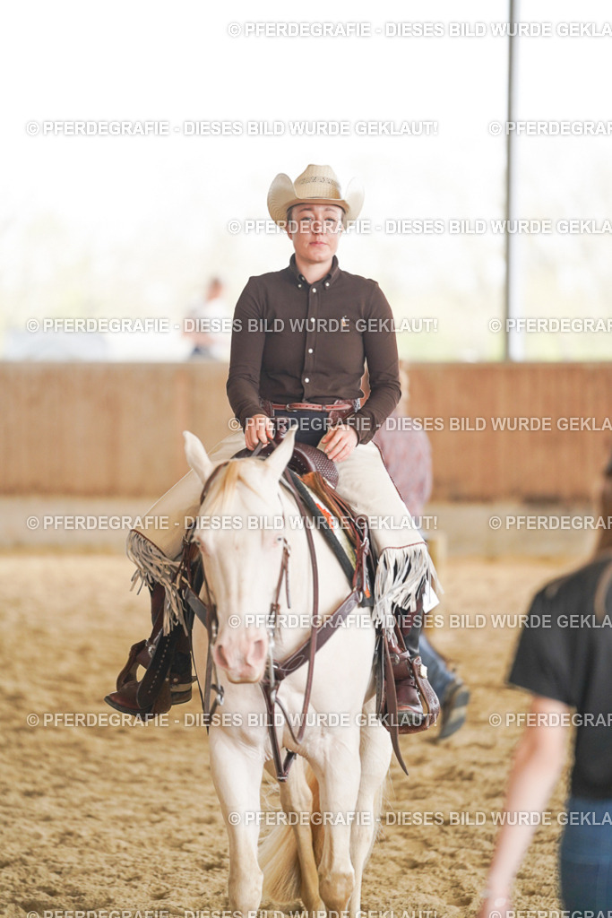 DSC02243 | Pferdegrafie