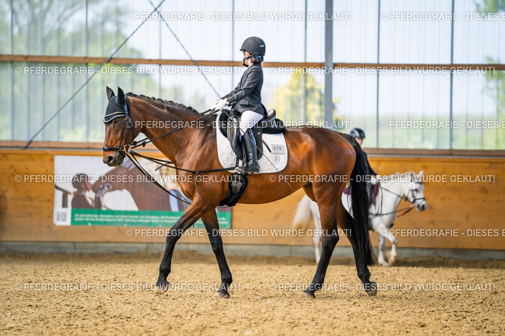 DSC02695 | Pferdegrafie