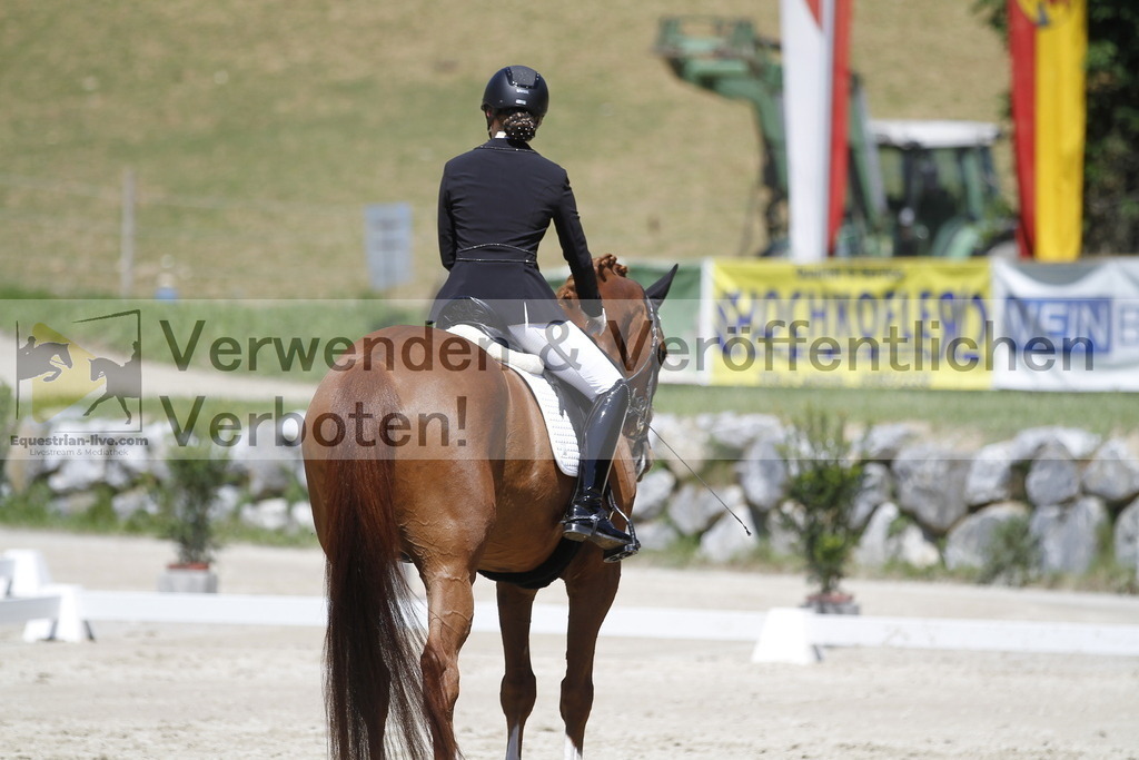 _MG_4655 | equestrian-live-com