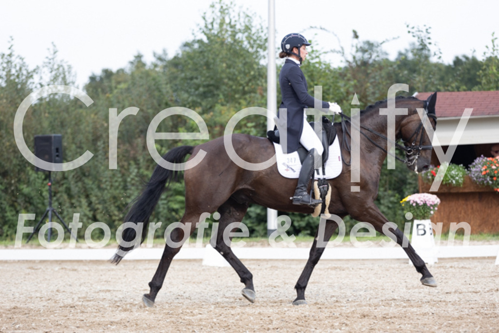 IMG_4930 | Creatify Fotografie