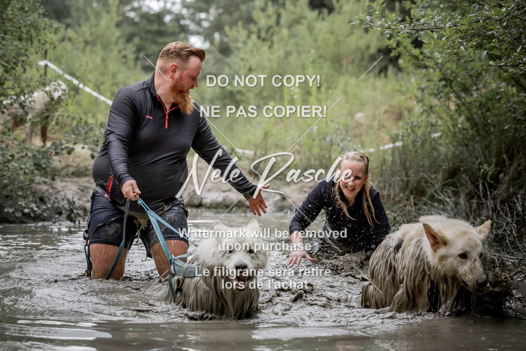 nelerasche_so0800-0930_456 | nelerasche