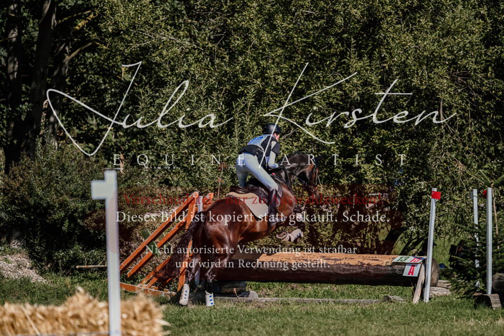 DSC_1463 | Pferde- und Turnierfotografie in Westsachsen. Pferdeportraits, Auftragszeichnungen und intuitive Kunst.