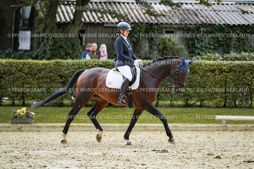 DSC00011 | Pferdegrafie