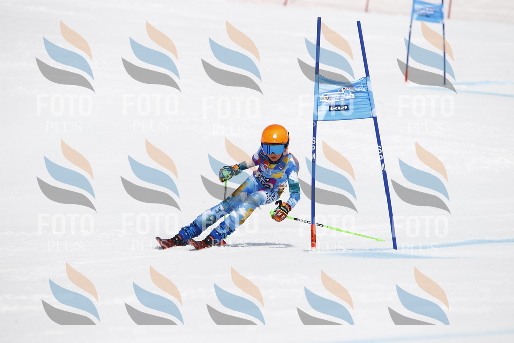 _U3G6335 | holidayphoto