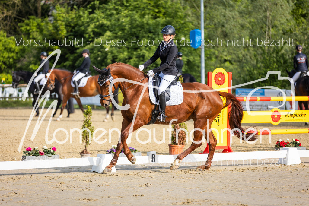 Donop24-A-Dre-017 | MomenTaufnahmen Pferdesportfotos