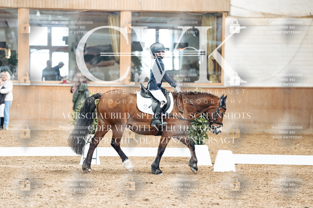 CK900427 | Turnierfotografie Pferdefotografie Trier Rheinland-Pfalz Pferdesport Reitsport Tierfotografie Sportfotografie Pferdevideo Pferdevideografie Equestrianvideography equestrianphotography  - Realized with Pictrs.com