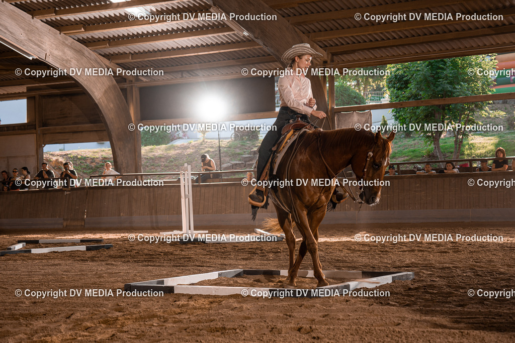 NE101201 | dv-media-shop - Realisiert mit Pictrs.com