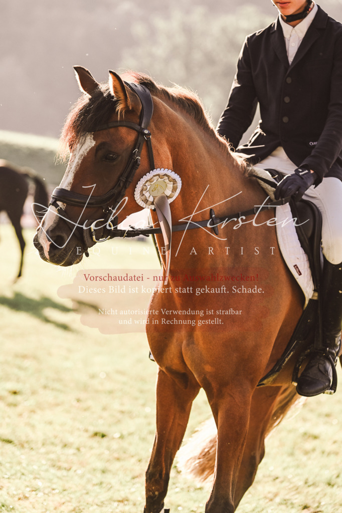 DSC_4551 | Pferde- und Turnierfotografie in Westsachsen. Pferdeportraits, Auftragszeichnungen und intuitive Kunst.