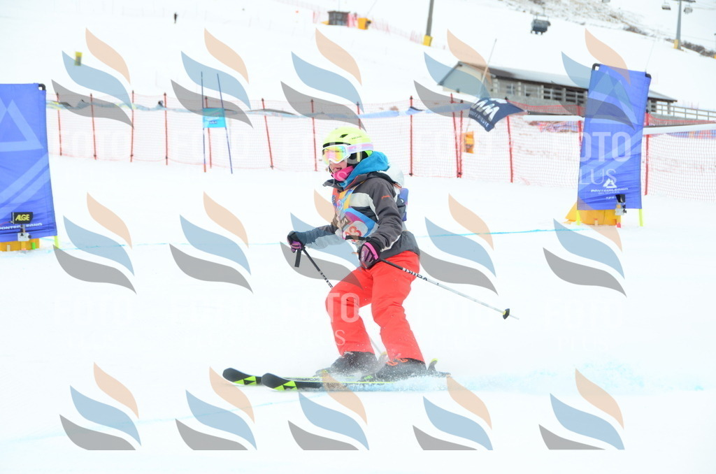 DSC_1178 | holidayphoto