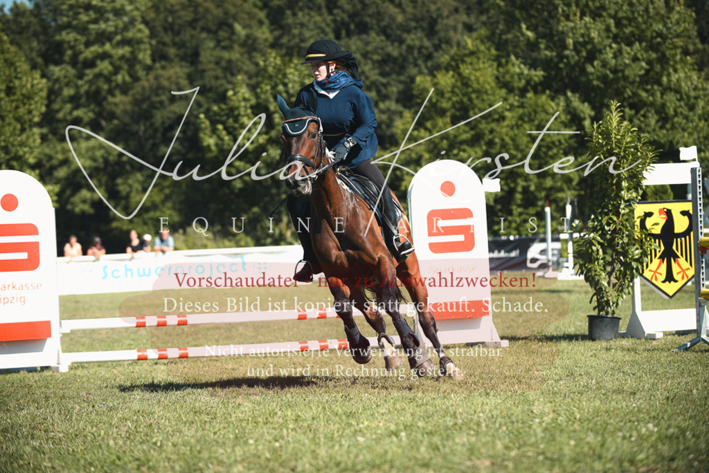 DSC_7588 | Pferde- und Turnierfotografie in Westsachsen. Pferdeportraits, Auftragszeichnungen und intuitive Kunst.