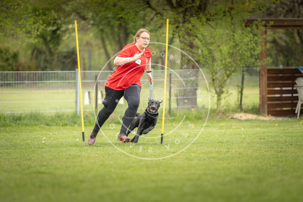 Pfotenfotografie_DV3A9956 | Hundefotografie, Tierfotograf, Pfotenfotografie, Fotoshooting Hund, Hunde Portrait, Hundesport, Hundeportraits, Heideshooting, Hunde, Sportfotograf, Hundefotograf, Turnierhundsport, THS,  - Realisiert mit Pictrs.com