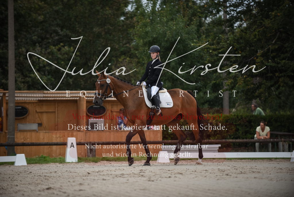 DSC_8028 | Pferde- und Turnierfotografie in Westsachsen. Pferdeportraits, Auftragszeichnungen und intuitive Kunst.