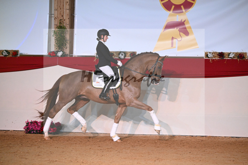 Bowmore_Wadenspanner_1234514 | hf-fotografie - Realisiert mit Pictrs.com