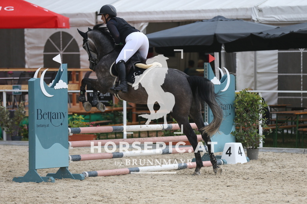 DL2Q8960 | Willkommen bei Brunnmayr - Design & Fotografie – Ihrem Spezialisten für Reitturniere und Pferdeveranstaltungen in Oberösterreich, Salzburg und Bayern! Seit über 17 Jahren sind wir leidenschaftlich dabei.
