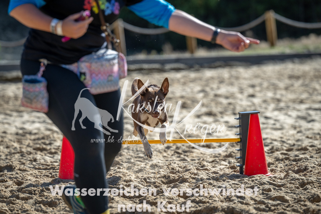 1210_ZZ92487-2 | kk-dogfotos