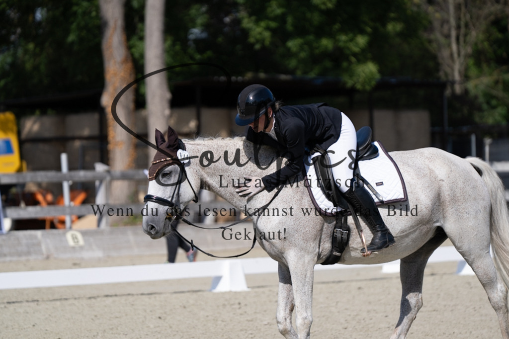 A7V07055 | Turnier/Reitfotograf