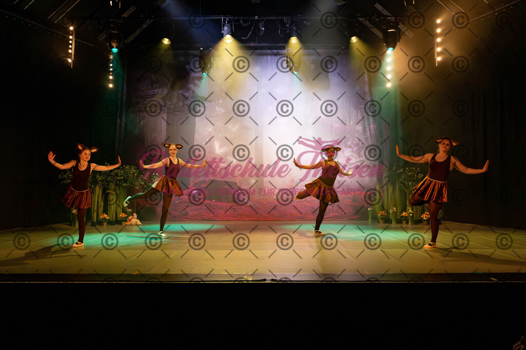 Ballettaufführung-28 | Bildershop Lem'n Entertainment - Realisiert mit Pictrs.com