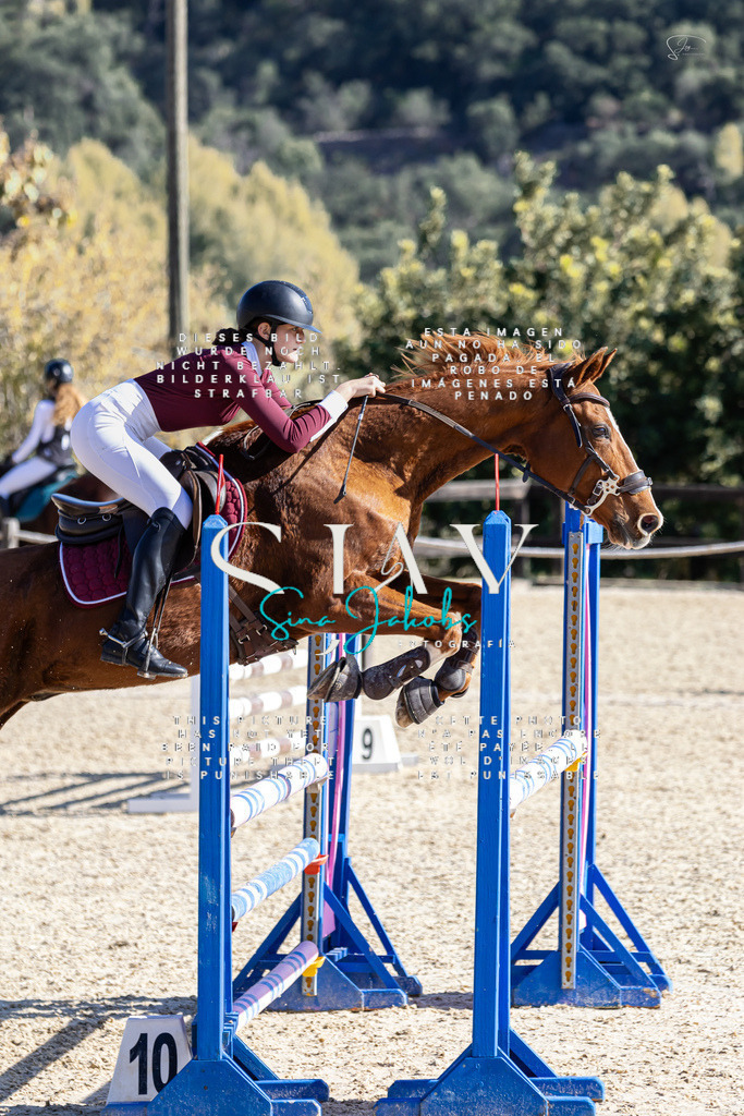 IMG_6463 | s-jay-photography - Realisiert mit Pictrs.com