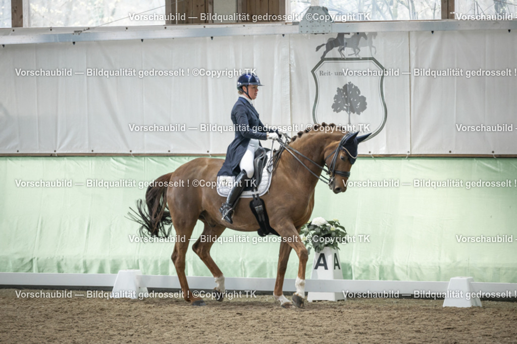 _D5A6137 | Emotionale Pferde- & People-Fotografie rund um Heidelberg, Leimen & Umgebung. Natürliche Fotos von Pferd, Mensch & Familie. Jetzt Termin sichern!