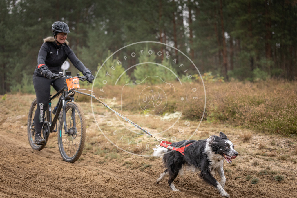Pfotenfotografie_DV3A4060 | Hundefotografie, Tierfotograf, Pfotenfotografie, Fotoshooting Hund, Hunde Portrait, Hundesport, Hundeportraits, Heideshooting, Hunde, Sportfotograf, Hundefotograf, Turnierhundsport, THS,  - Realisiert mit Pictrs.com