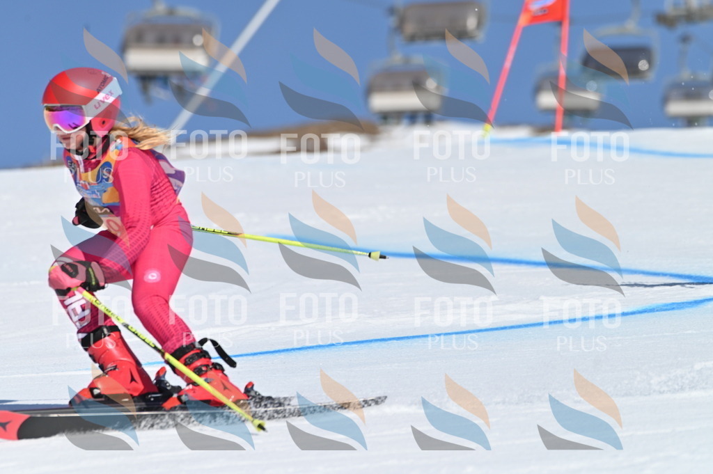 BGV_8361 | holidayphoto